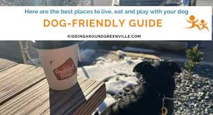 dog friendly guide to the upstate