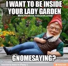 I Need A Dirty Gnome Garden
