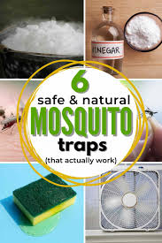 6 easy diy mosquito trap ideas that