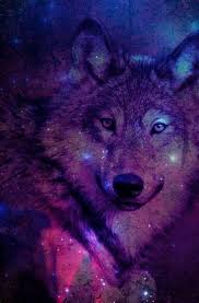 Brown and black wolf digital wallpaper, artwork, planet, space. Download Wallpaper Galaxy Wolf Hd Cikimm Com