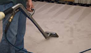 eco friendly carpet cleaning service in