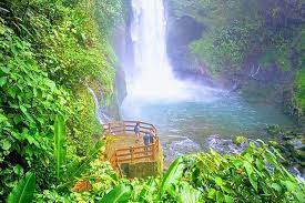 san jose to la paz waterfalls wildlife