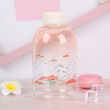 Cute Glass Water Bottle Apollobox