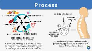 process definition and exles