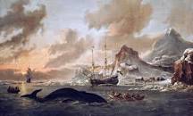 Image result for Moby dick is human