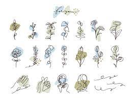 50 free flower line drawing vectors to