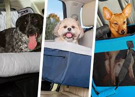 The 12 Best Dog Car Seats Because They