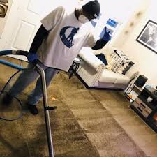 loyal carpet upholstery cleaning