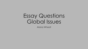 global issues essay questions global issues essay questions
