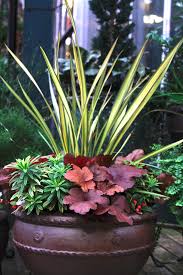 Cool Colorful Container Gardens For