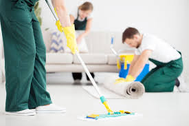 carpet and upholstery cleaner service
