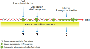 p aeruginosa respiratory infection