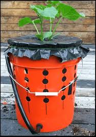 make your own self watering tomato buckets