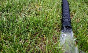 Best Irrigation Pumps For Your Yard