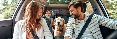 Five Of The Best Cars For Dog Owners