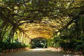 botanical garden malaga málaga