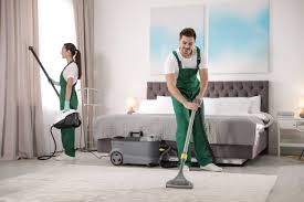 carpet cleaning elgin il