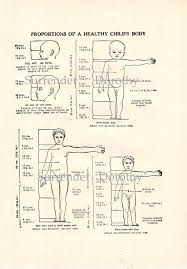 Proportions Of A Healthy Childs Body 1905 By