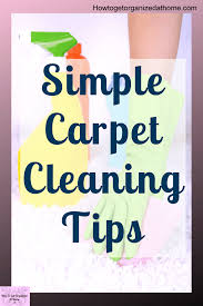 tips to keep your carpet clean