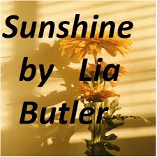 I've always known that during this time period african americans were treated badly. Sunshine By Lia Butler Pdf Download Today Novels