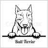 Find more bull terrier coloring page pictures from our search. 1