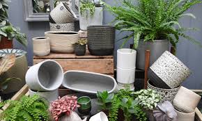 Decorative Plant Pots