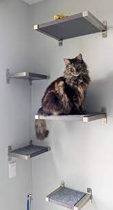 Floating Cat Shelves With Ikea Granhult
