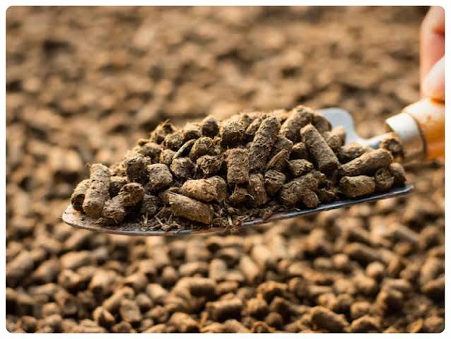 Pellets de Compost – Kpel