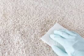 how to get rid of urine from carpet