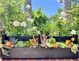 easy diy succulent planter made from a