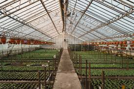 greenhouse short course slated for sept
