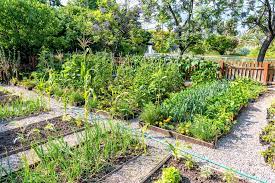 How To Make Your Community Garden Plots