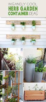 Cool Herb Garden Container Ideas