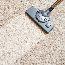 proven ways to treat carpet after head lice