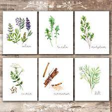 Kitchen Herbs Art Prints Botanical