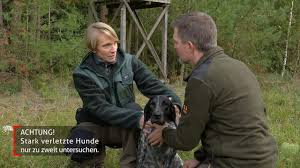 Schon der sensible bostich von frank baumann (60) war ein quotenhund in der satiresendung «ventil». Jagdhundewesen Deutscher Jagdverband
