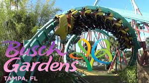 Busch gardens is a seasonal theme park located in williamsburg, virginia. How To Get To Busch Gardens Tampa From Orlando And St Petersburg Bookbuses Charter Bus School Bus Rental Services Nationwide