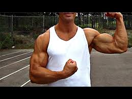 bodyweight biceps workout exercises