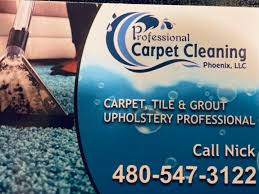 professional carpet cleaning reviews