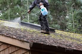 how to remove moss from a roof 2023 guide