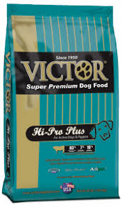 Victor Hi Pro Plus Review Pet Food Reviewer