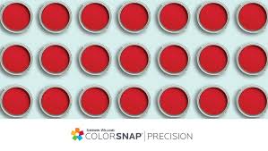 Colorsnap Precision For Homeowners