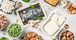 protein rich food for vegetarian t
