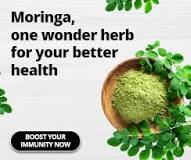 Moringa Leaves - 16 Health Benefits That You Should Know ...