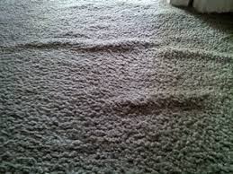 prevent carpet damage pristine carpet
