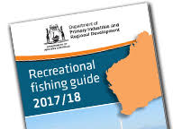 Recreational Fishing Guides