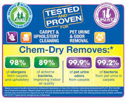 brooke s chem dry carpet cleaning