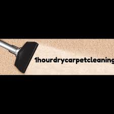 carpet cleaning in bradenton fl