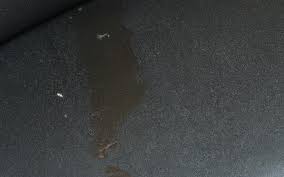 maintaining cleanliness in car carpets