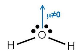 Resultado de imagen de sustancias apolares que forman el co2